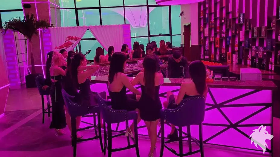 바 카운터에 앉은 손님들