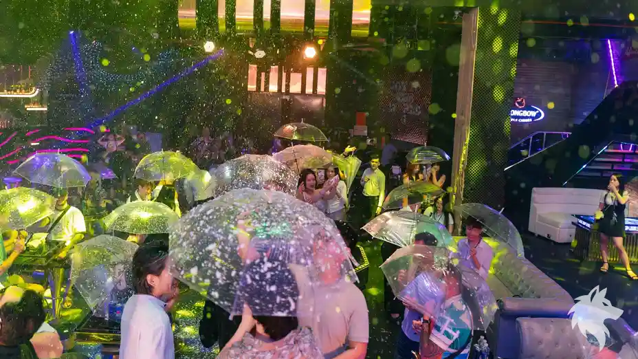 투명 우산을 쓴 클럽 인파